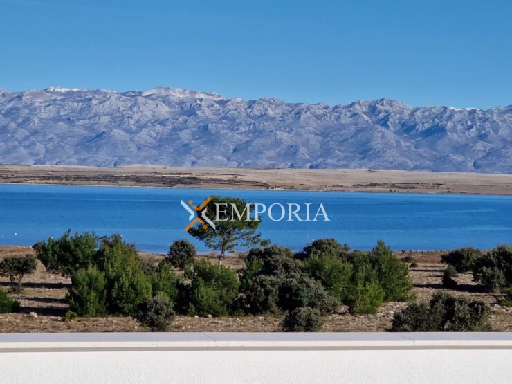 Apartment A1099 – Vir
