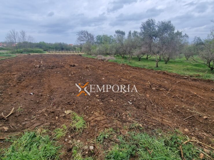 Urbanized land L403 – Privlaka