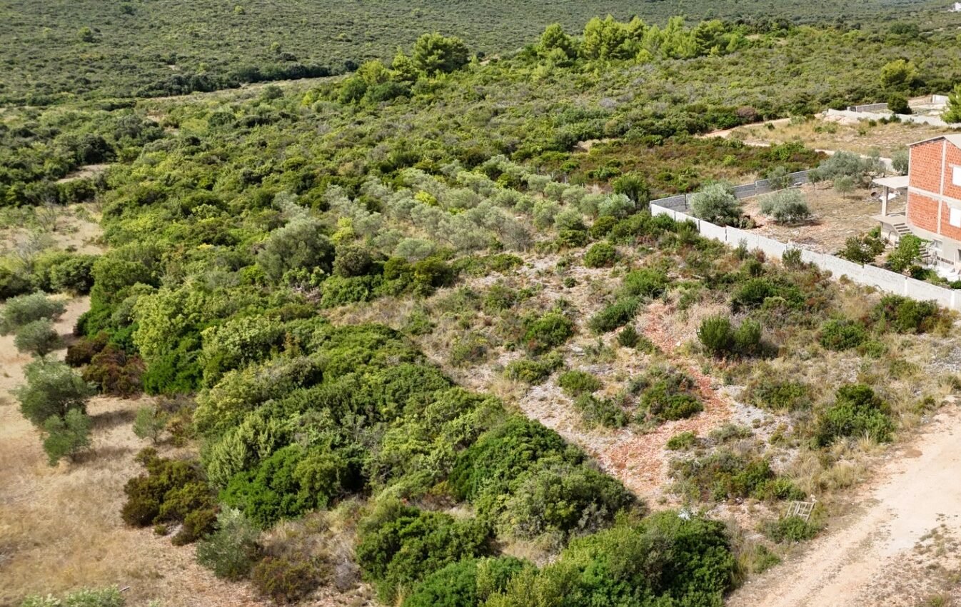 Urbanized land L555 – Sukošan, Debeljak Urbanized land L555 – Sukošan, Debeljak