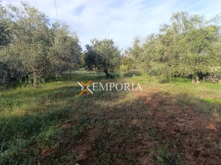 Urbanized land L501 – Sukošan, Debeljak